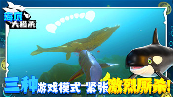 盐和避难所隐藏Boss有几个？解锁隐藏Boss背后的深层秘密与挑战