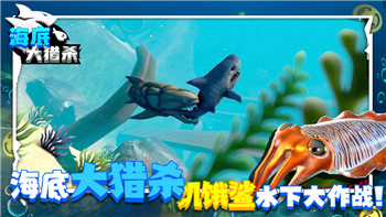 王国纪元资源上限与优化管理：如何最大化提升资源利用效率