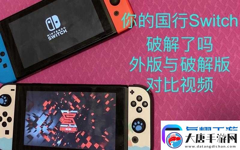 国行与日版Switch有何不同-底层逻辑与操作映射全揭秘