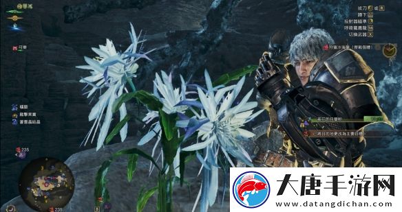 怪物猎人荒野bug!实现宝珠自由!金之炼金票无限拿!