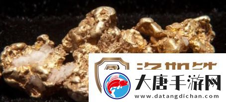 含金量还在上升是什么梗络用语-含金量还在上升梗意思及出处分享