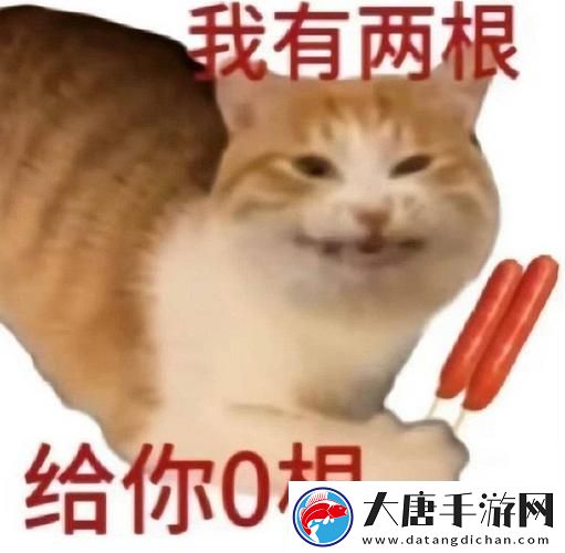 两根还是十几根你自己选-网友：生活中的选择有多重要
