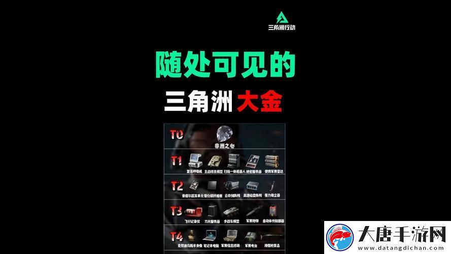精华区二区区别88888金三角-网友:-对比分析与深度探讨